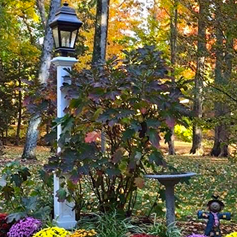 Exterior Post and Pier Lanterns